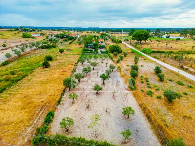 Moradia T3 para Venda em Canha Foto 6