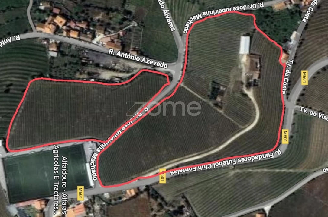 Quinta T4 para Venda em Fontelas Foto 63