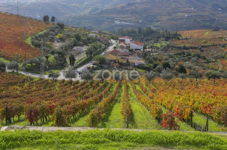 Quinta T4 para Venda em Fontelas Foto 49