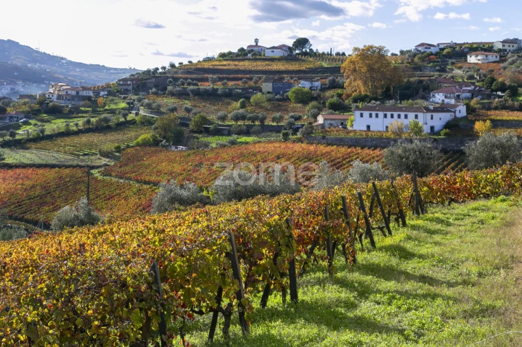 Quinta T4 para Venda em Fontelas Foto 50
