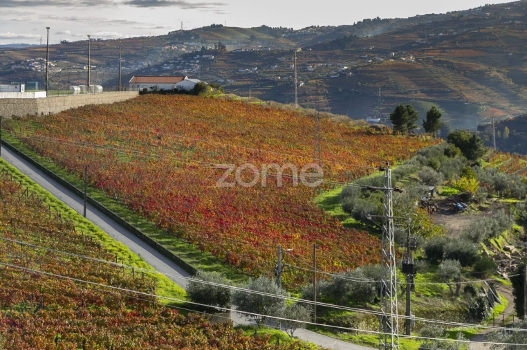 Quinta T4 para Venda em Fontelas Foto 61