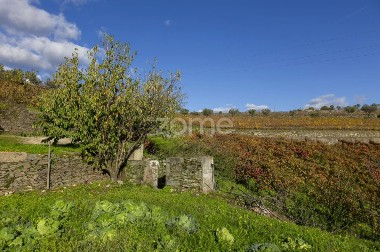 Quinta T4 para Venda em Fontelas Foto 9