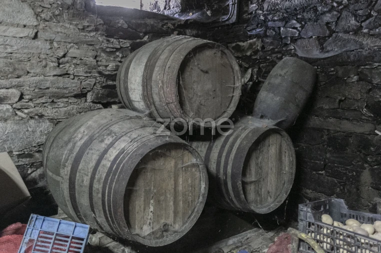 Quinta T4 para Venda em Fontelas Foto 38