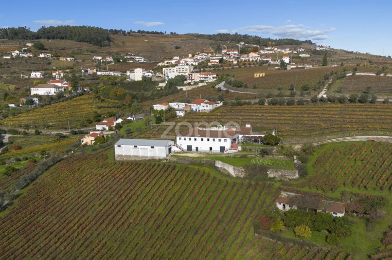 Quinta T4 para Venda em Fontelas Foto 6