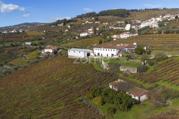 Quinta T4 para Venda em Fontelas Foto 4