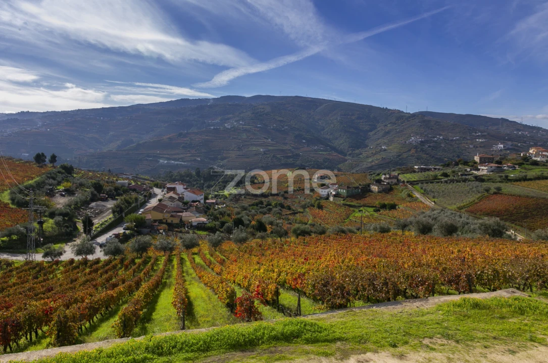 Quinta T4 para Venda em Fontelas Foto 55