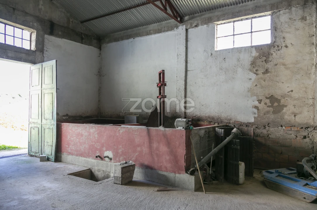 Quinta T4 para Venda em Fontelas Foto 47