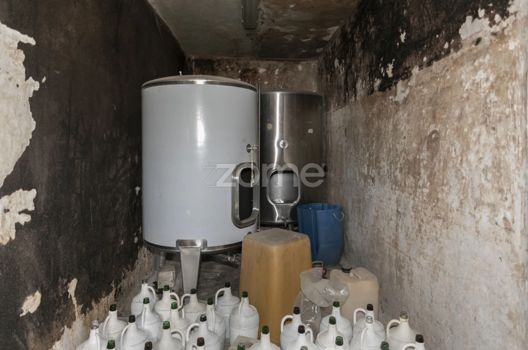 Quinta T4 para Venda em Fontelas Foto 40