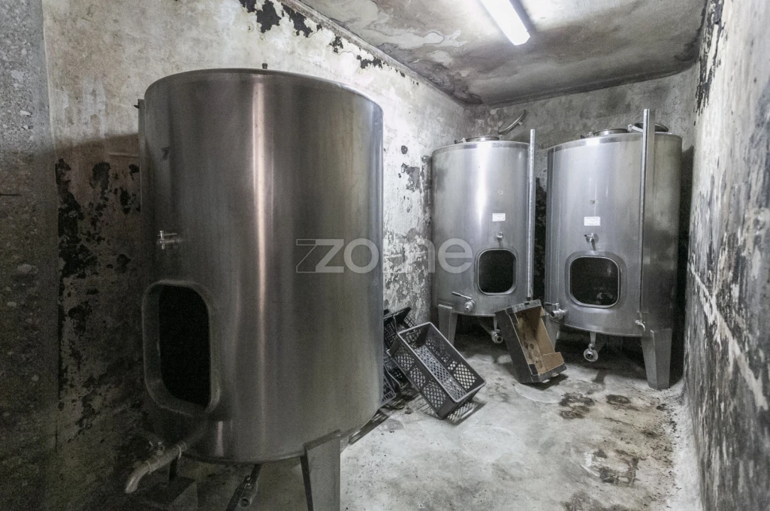 Quinta T4 para Venda em Fontelas Foto 39