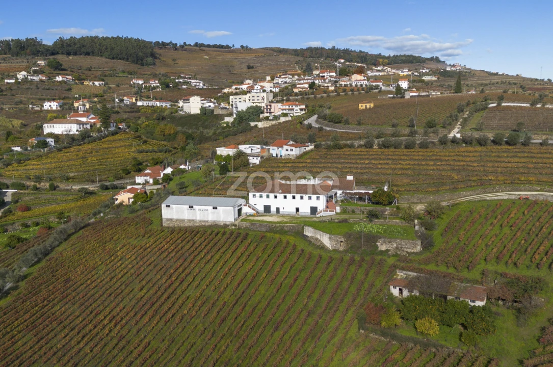 Quinta T4 para Venda em Fontelas Foto 6