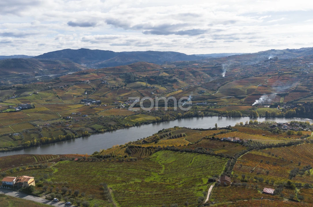 Quinta T4 para Venda em Fontelas Foto 7