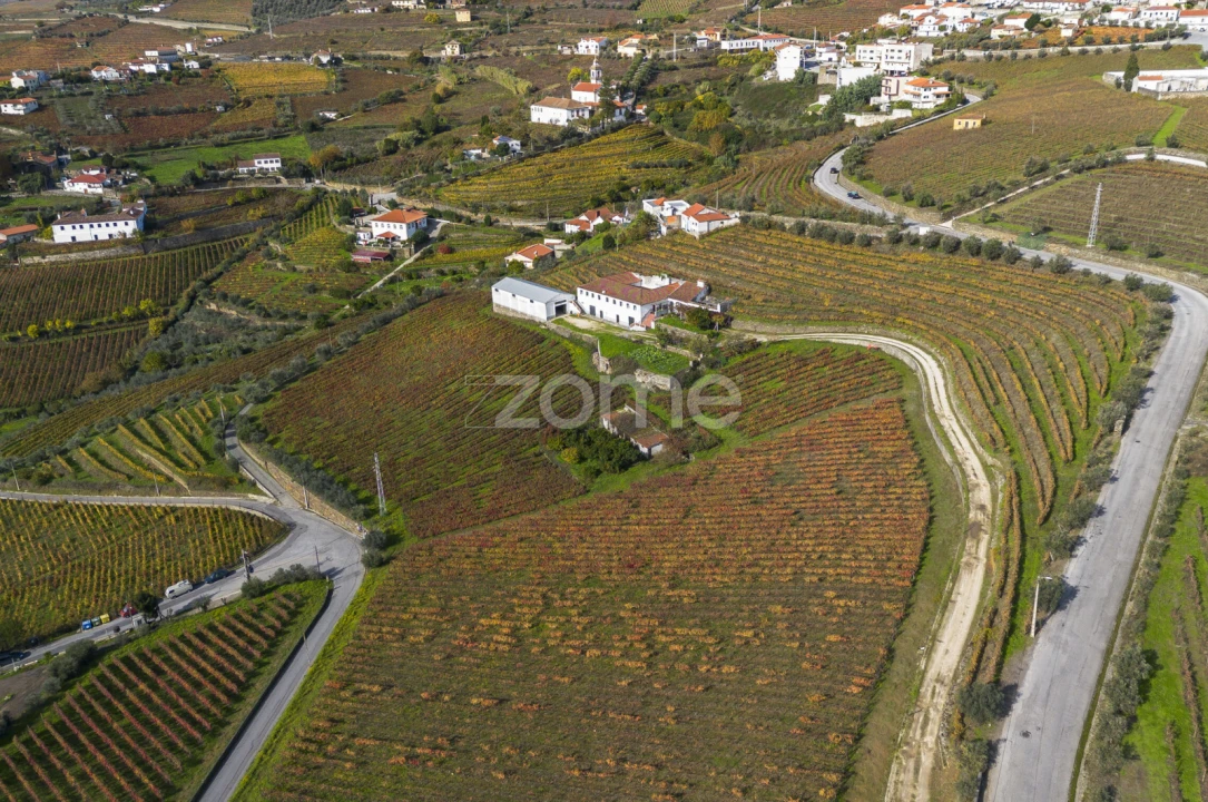 Quinta T4 para Venda em Fontelas Foto 3