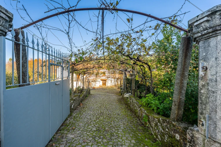 Quinta T7 para Venda em Milheiros de Poiares Foto 2