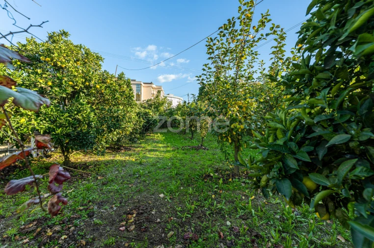 Quinta T7 para Venda em Milheiros de Poiares Foto 9