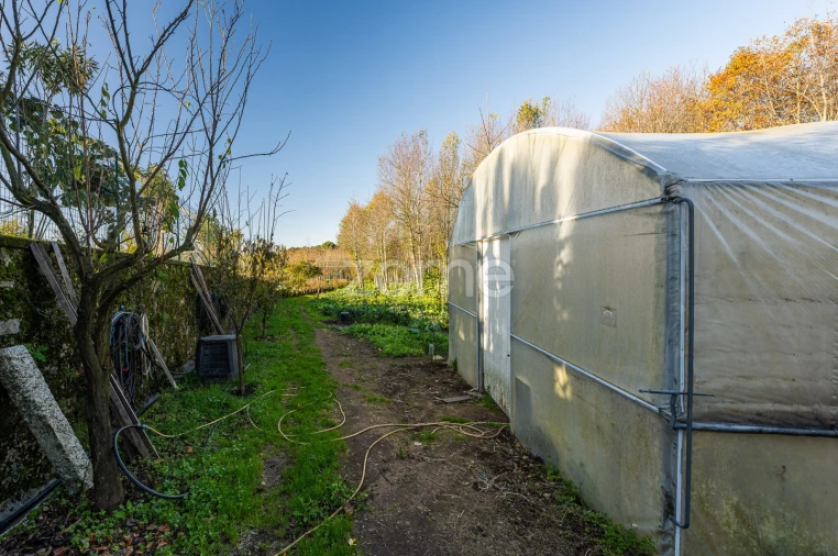 Quinta T7 para Venda em Milheiros de Poiares Foto 8