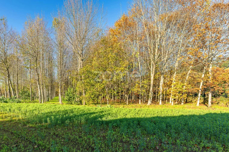 Quinta T7 para Venda em Milheiros de Poiares Foto 14