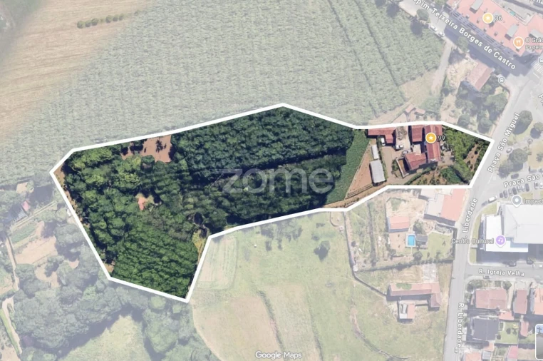 Quinta T7 para Venda em Milheiros de Poiares Foto 7