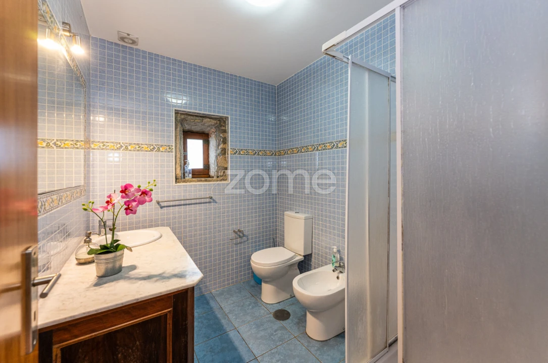 Quinta T7 para Venda em Milheiros de Poiares Foto 47