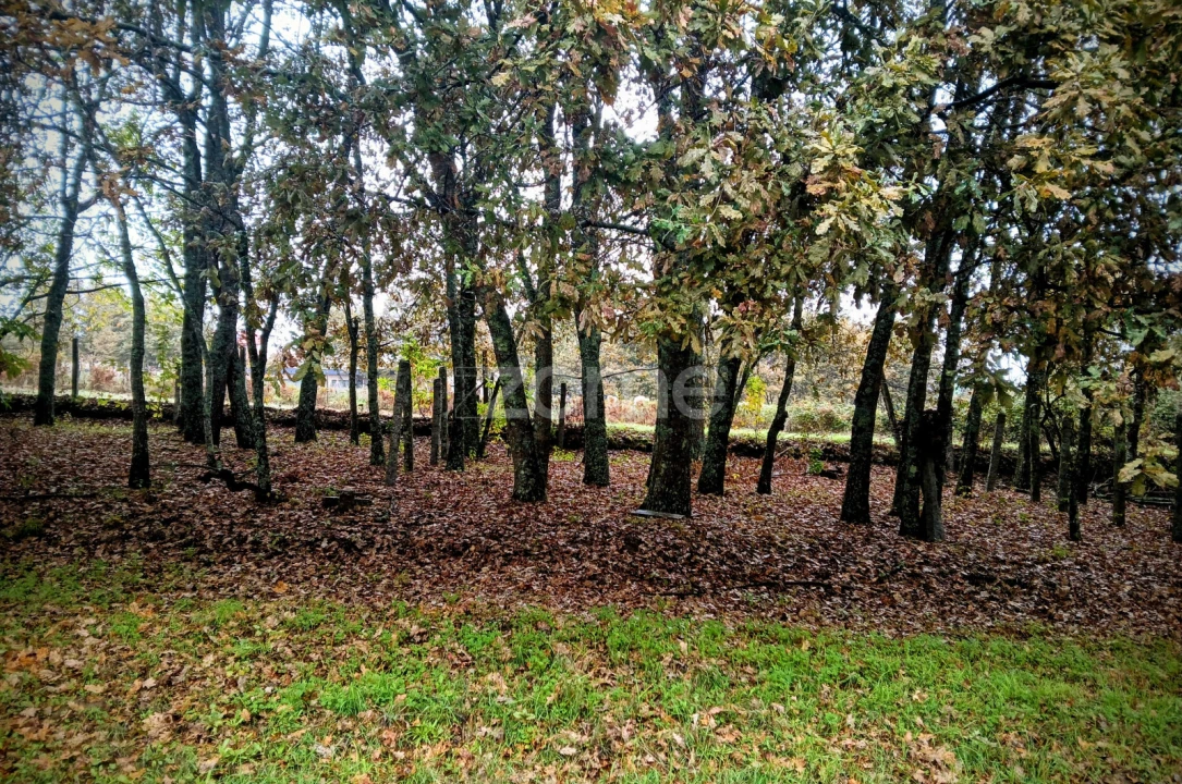 Terreno para Venda em Abraveses Foto 1