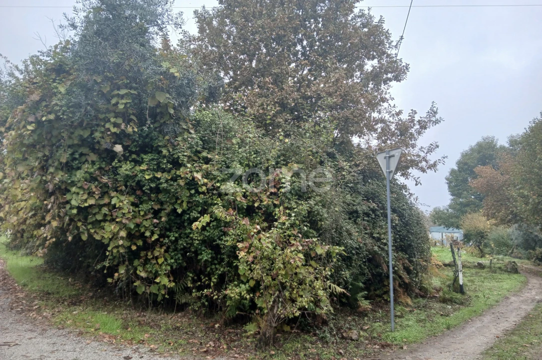 Terreno para Venda em Abraveses Foto 8