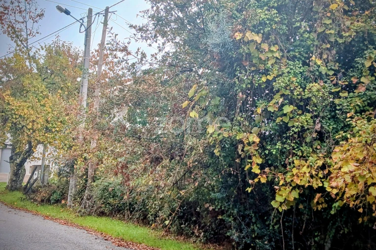 Terreno para Venda em Abraveses Foto 3