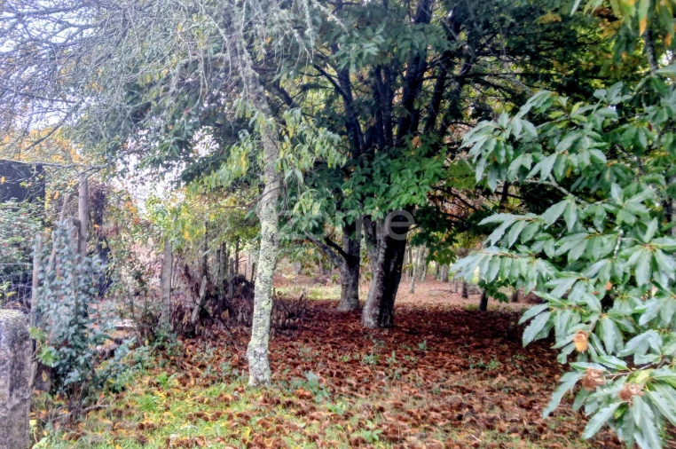 Terreno para Venda em Abraveses Foto 4