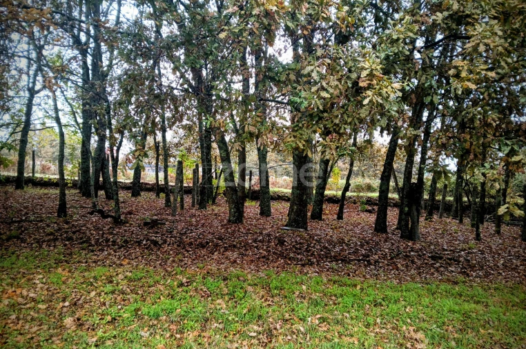 Terreno para Venda em Abraveses Foto 2