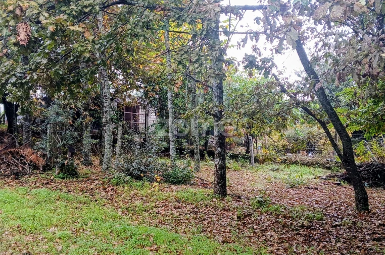 Terreno para Venda em Abraveses Foto 10