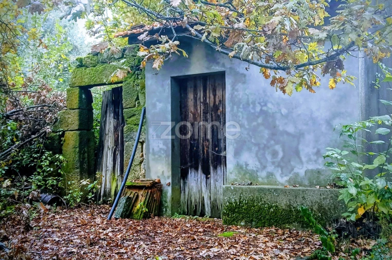 Terreno para Venda em Abraveses Foto 5