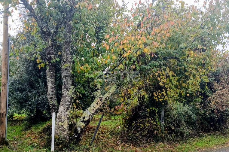 Terreno para Venda em Abraveses Foto 8