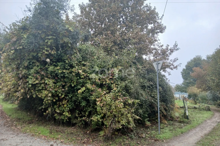 Terreno para Venda em Abraveses Foto 9