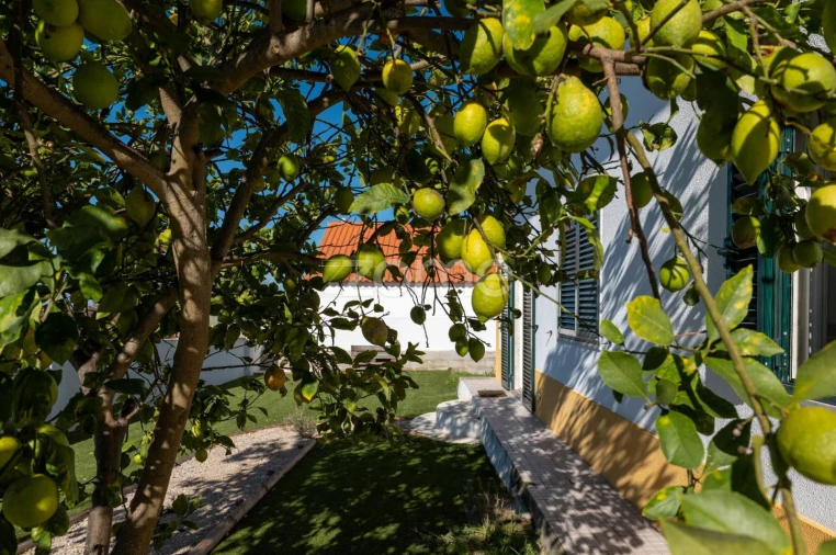 Moradia T4 para Venda em Quinta do Anjo Foto 29