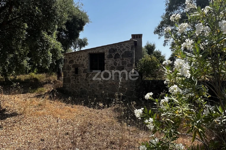 Terreno para Venda em Ninho do Açor e Sobral do Campo Foto 3