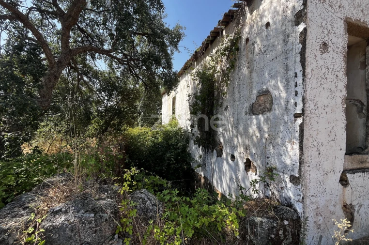 Terreno para Venda em Ninho do Açor e Sobral do Campo Foto 6