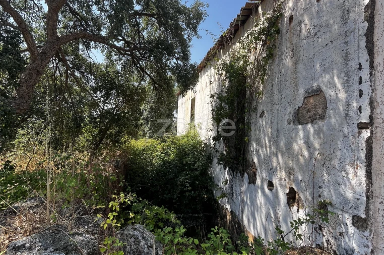 Terreno para Venda em Ninho do Açor e Sobral do Campo Foto 7
