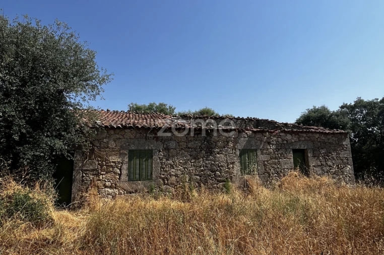 Terreno para Venda em Ninho do Açor e Sobral do Campo Foto 8