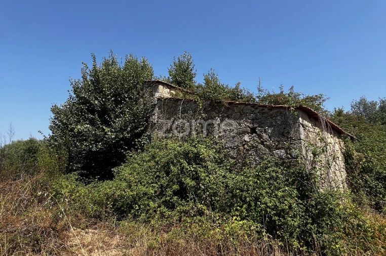 Terreno para Venda em Ninho do Açor e Sobral do Campo Foto 9