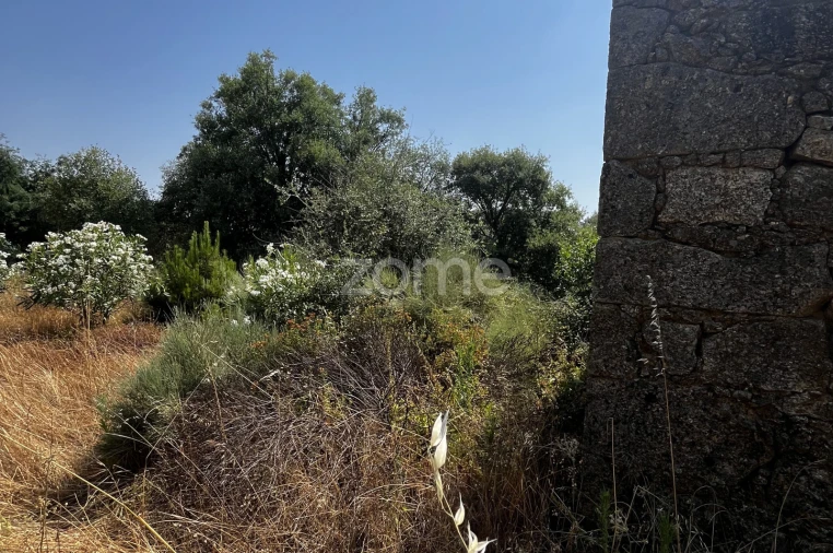 Terreno para Venda em Ninho do Açor e Sobral do Campo Foto 10