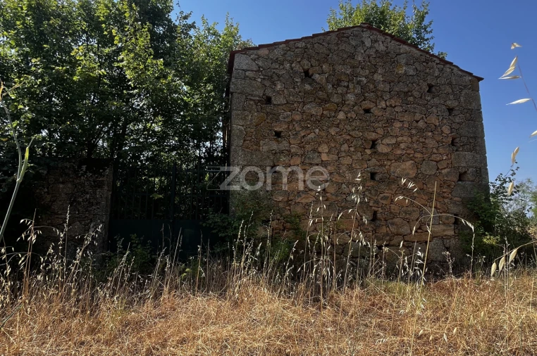 Terreno para Venda em Ninho do Açor e Sobral do Campo Foto 11