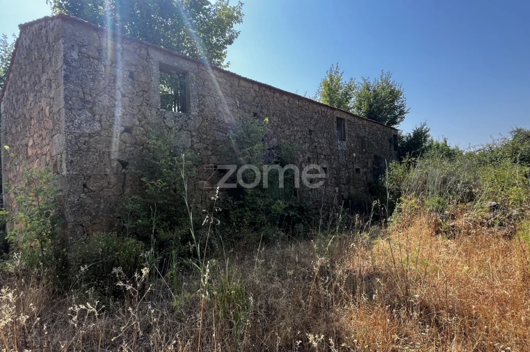 Terreno para Venda em Ninho do Açor e Sobral do Campo Foto 12