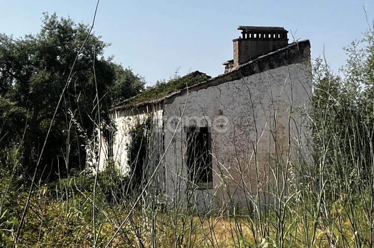 Terreno para Venda em Ninho do Açor e Sobral do Campo Foto 13
