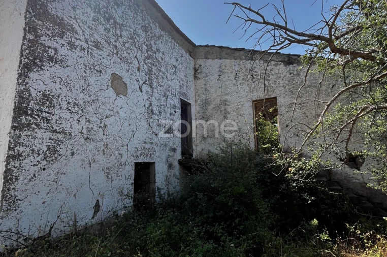 Terreno para Venda em Ninho do Açor e Sobral do Campo Foto 14