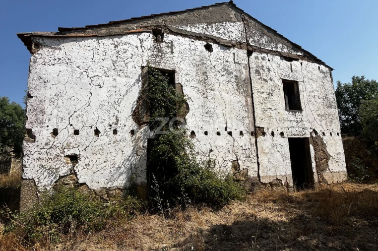 Terreno para Venda em Ninho do Açor e Sobral do Campo Foto 15