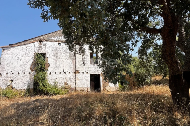 Terreno para Venda em Ninho do Açor e Sobral do Campo Foto 16