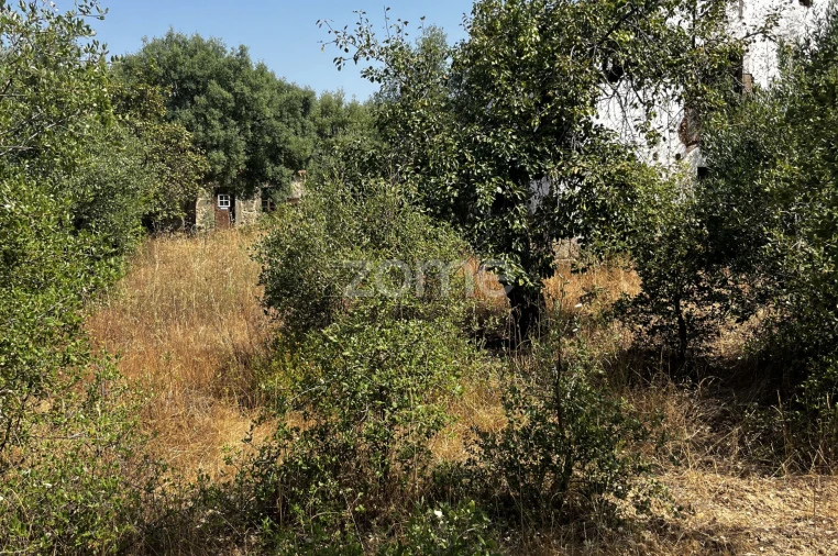 Terreno para Venda em Ninho do Açor e Sobral do Campo Foto 19