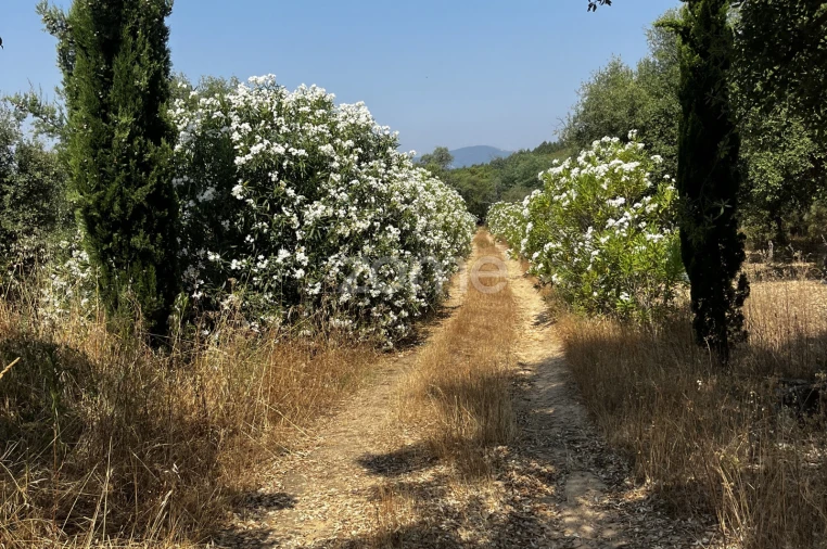 Terreno para Venda em Ninho do Açor e Sobral do Campo Foto 21