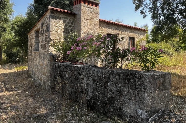 Terreno para Venda em Ninho do Açor e Sobral do Campo Foto 23