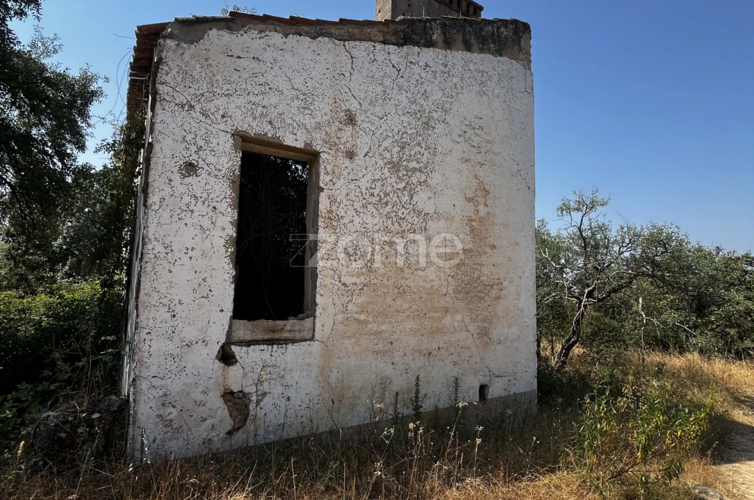 Terreno para Venda em Ninho do Açor e Sobral do Campo Foto 5