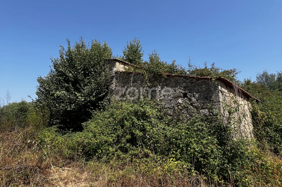 Terreno para Venda em Ninho do Açor e Sobral do Campo Foto 9