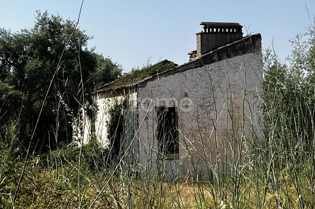 Terreno para Venda em Ninho do Açor e Sobral do Campo Foto 13